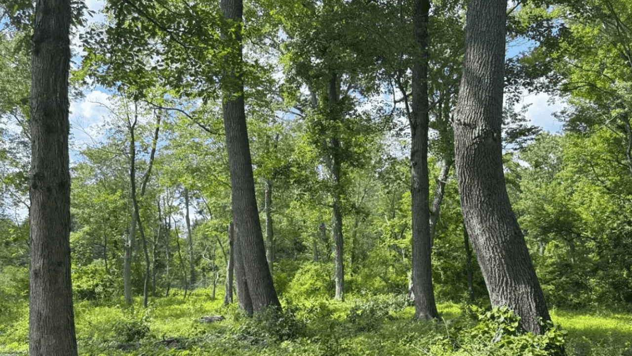 Pennsylvania Family Protects 30-Acre Farm Next to 1,300 Acres of Preserved Land