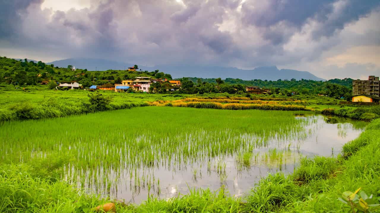 वाशिंगटन परिवार ने 40 एकड़ कृषि भूमि के लिए स्थायी सुरक्षा सुनिश्चित की