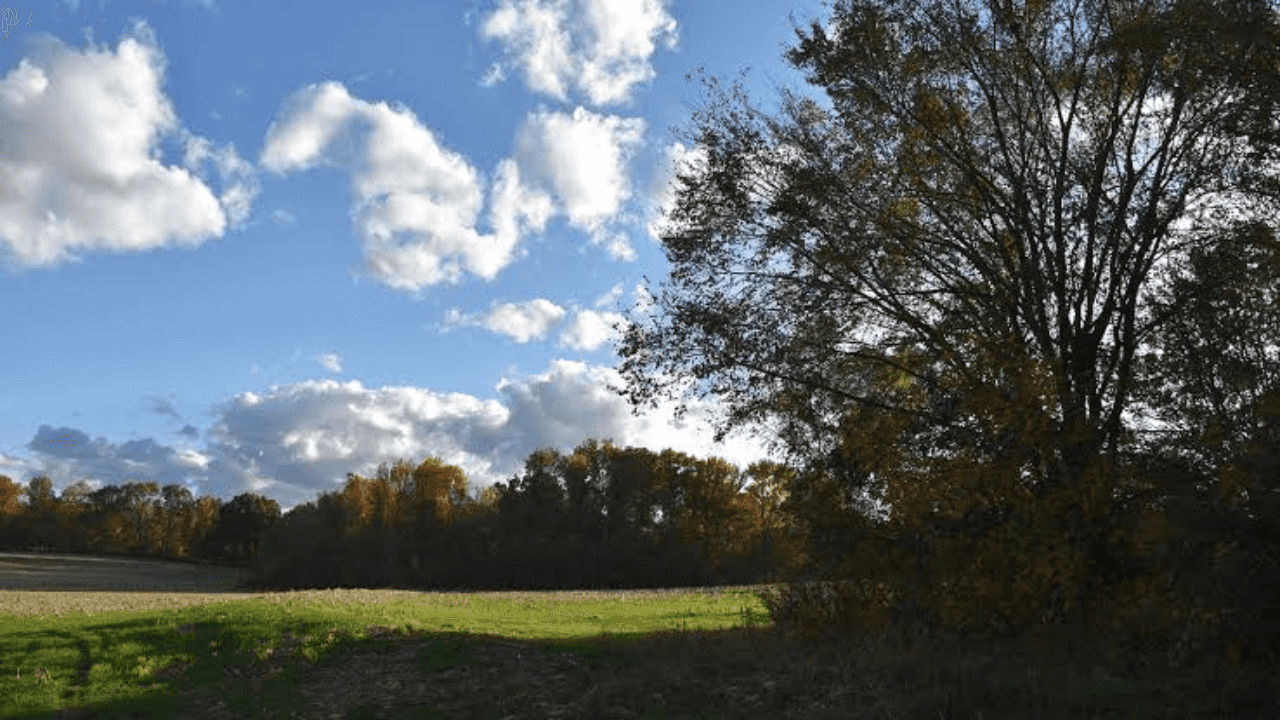 Ohio Attorney Neil McKown Transforms 155 Acres into Thriving Farm