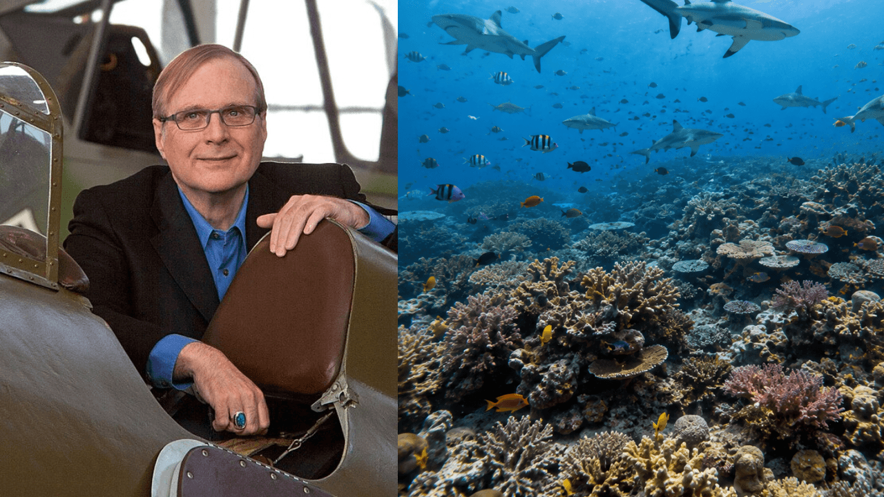 Paul Allen's Global Shark Survey Reveals 20% of Reefs Lacking Sharks
