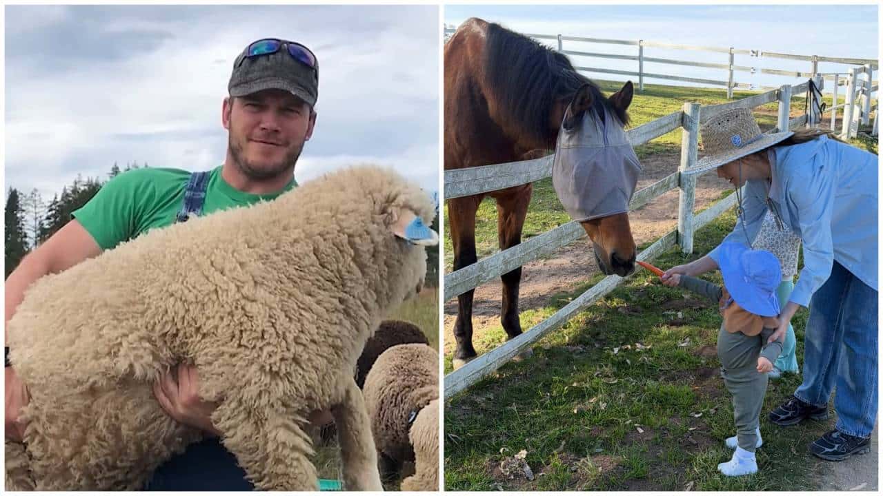 Inside Chris Pratt’s 100-Acre Washington Ranch with Sheep and Pigs