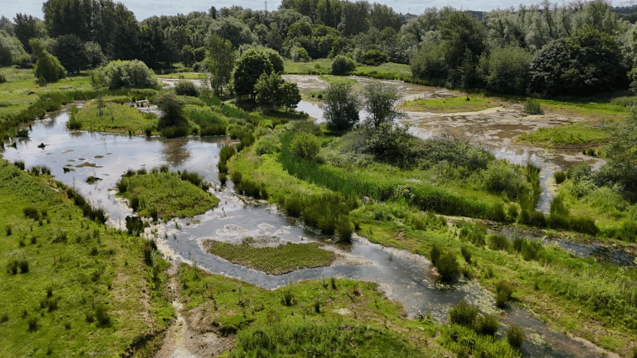 Rugeley Power Station Golf Course Transformed into Wetlands and Public Trail