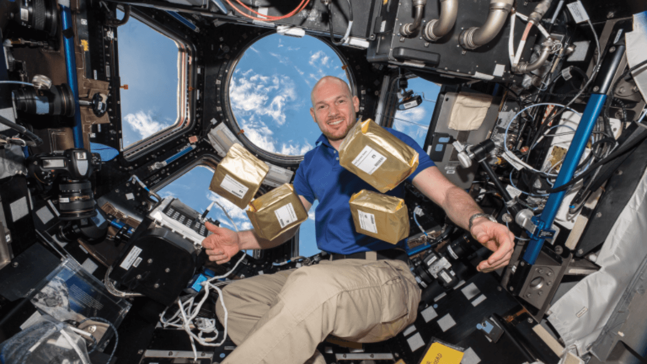 NASA's 1984 Tomato Seed Experiment Returns to Earth After Six Years