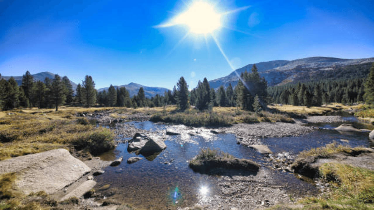 Jeanne Paisley's 128-Acre Retreat Becomes Part of Wildlife Corridor
