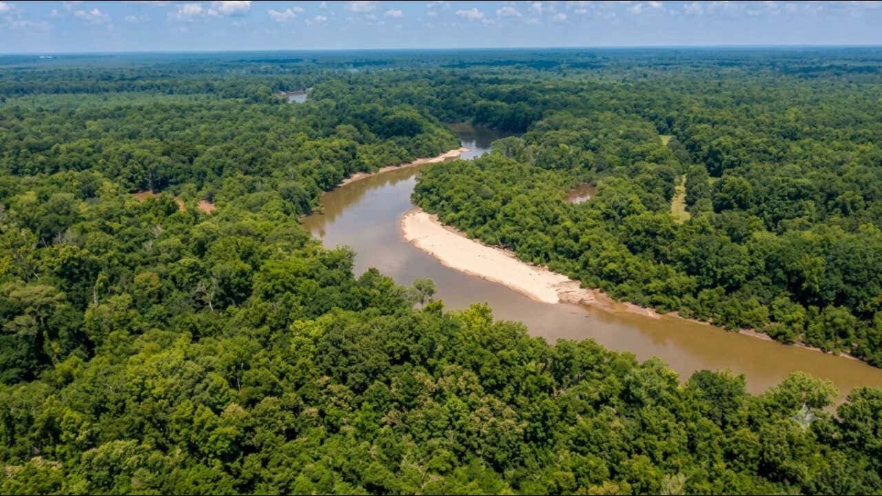 2,600-Acre South Carolina Timber Property Transferred to State for Conservation