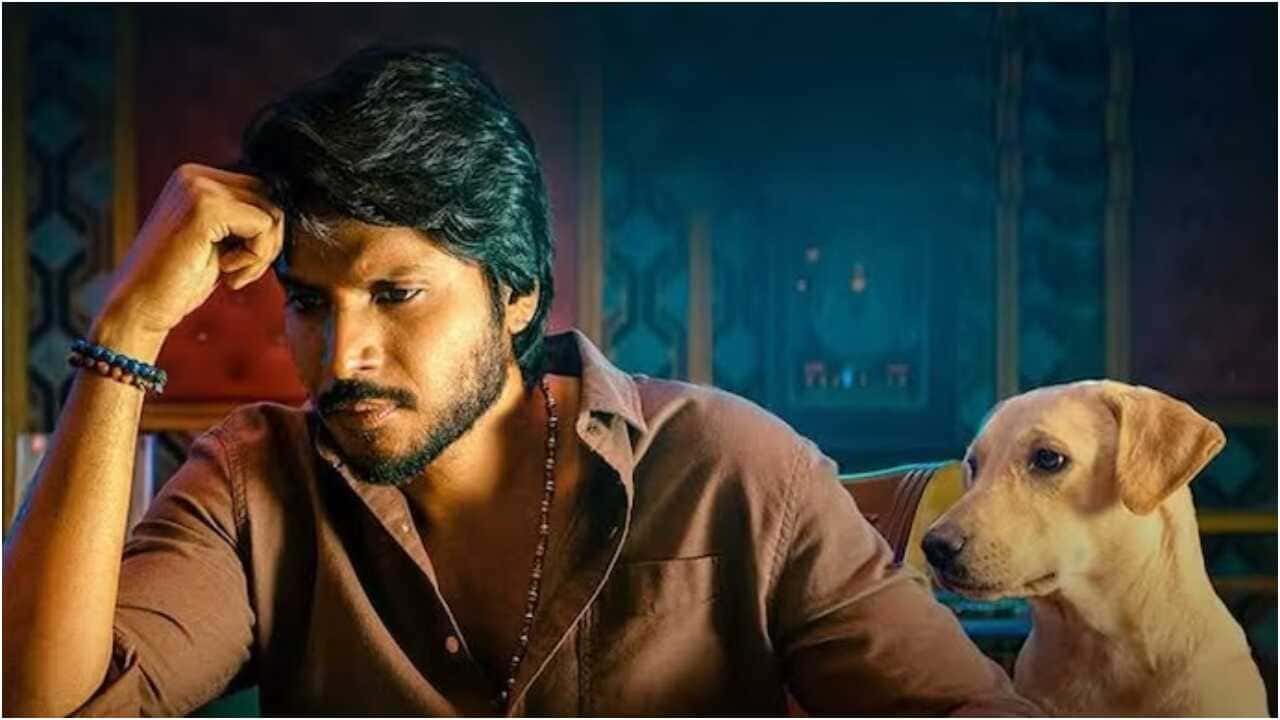 'सिग्मा' बॉक्स ऑफिस संग्रह दिन 7: जेसन संजय की फिल्म ने 8.27 करोड़ रुपये कमाए
