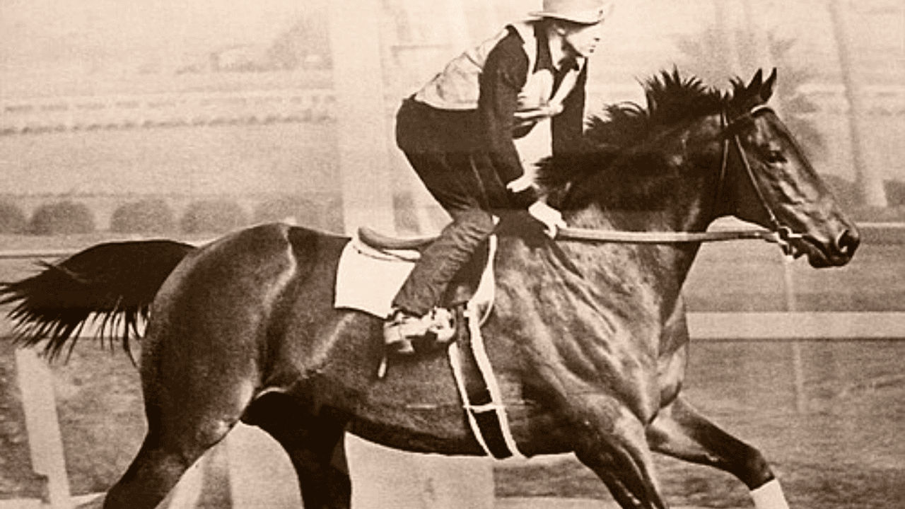 Ridgewood Ranch: Preserving Seabiscuit's Legacy and California's Wildlife