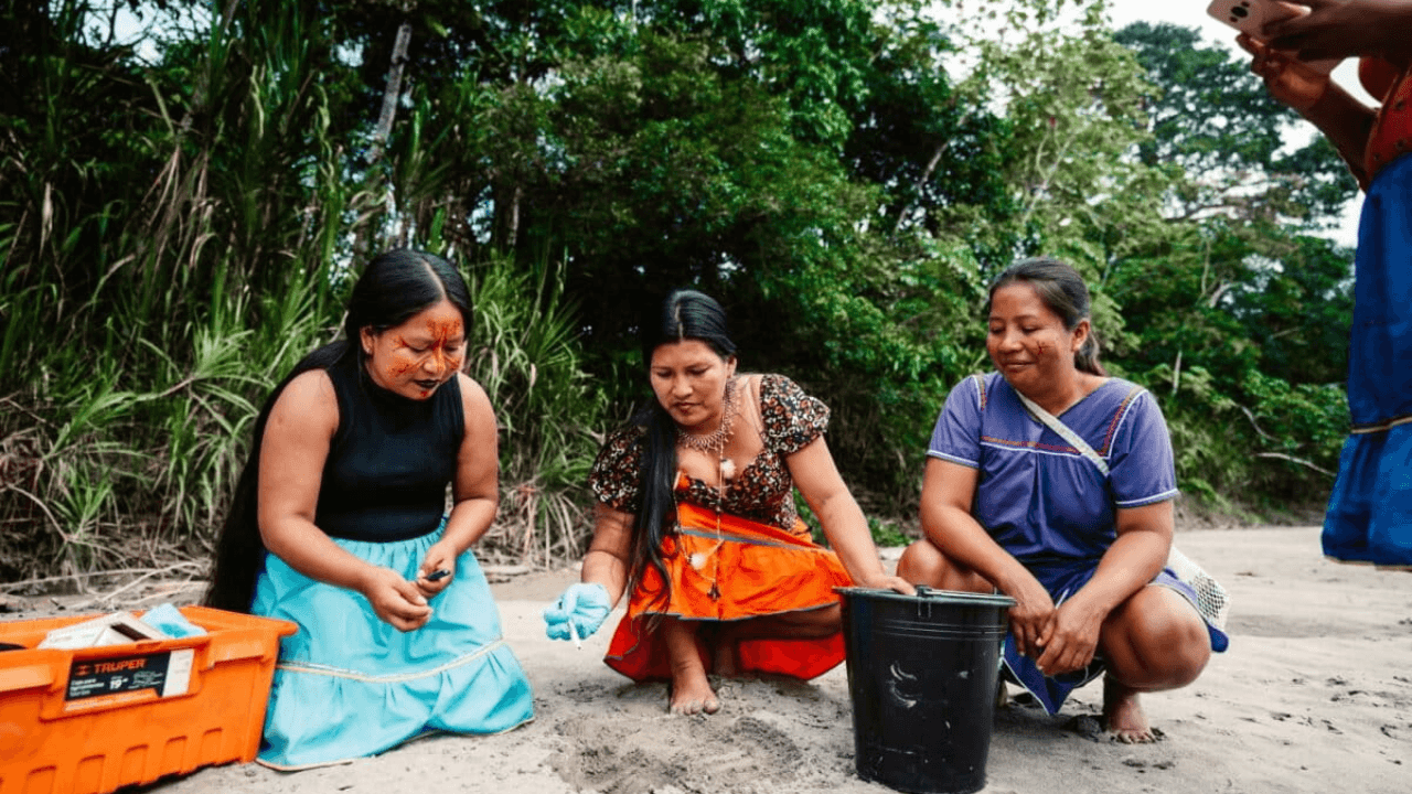 Meet the 'Turtle Women' of Amazon: 7 Indigenous Women Reviving Vulnerable River Turtles