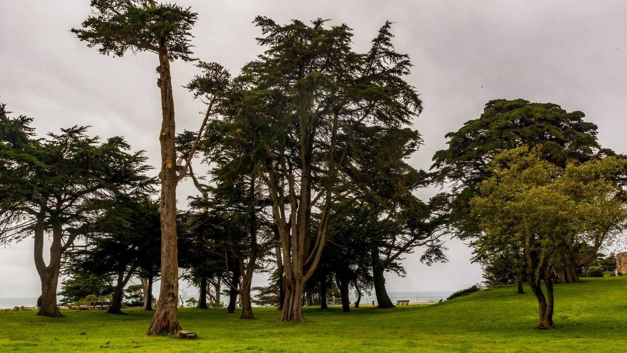 Sutro Heights Park: A Historical Overview of San Francisco's Cultural Retreat