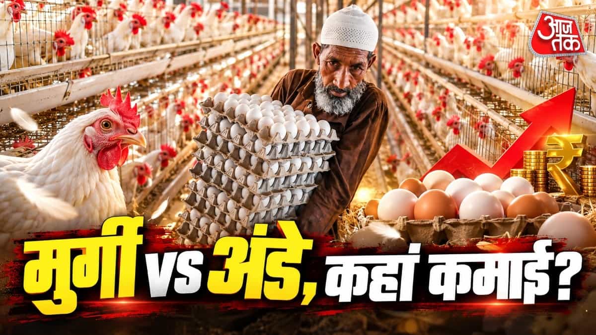 मुर्गी पालन: मुर्गी या अंडे... क्या बेचने से ज्यादा कमाई?
