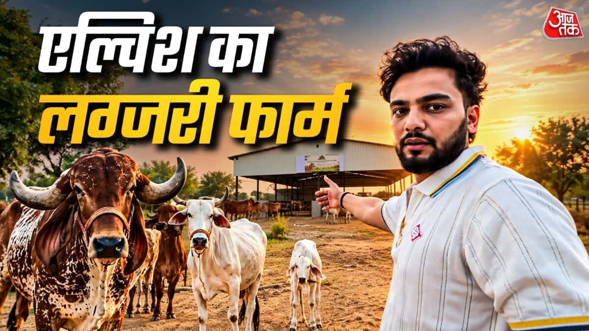 एल्विश यादव ने मुंबई में अपने फार्म और गायों की झलक दिखाई