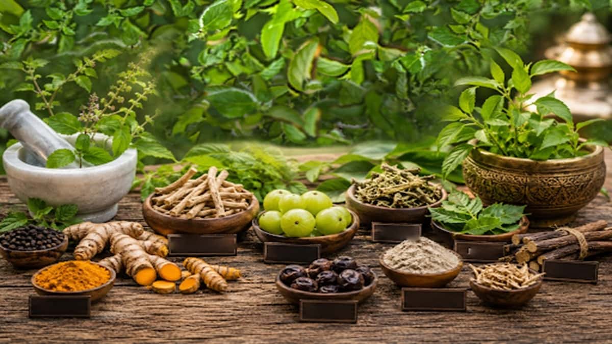 Farmers Encouraged to Diversify with Medicinal Crops for Higher Income