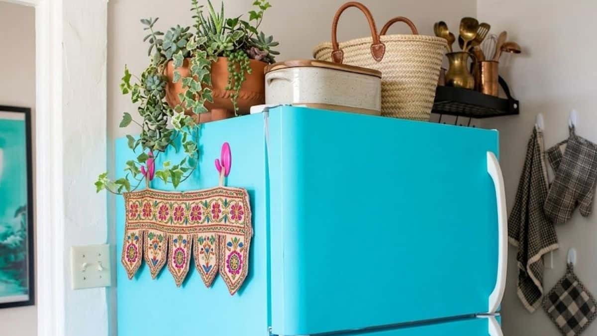 किचन वास्तु: इन 4 चीजों को फ्रिज के ऊपर से आज ही हटा दें