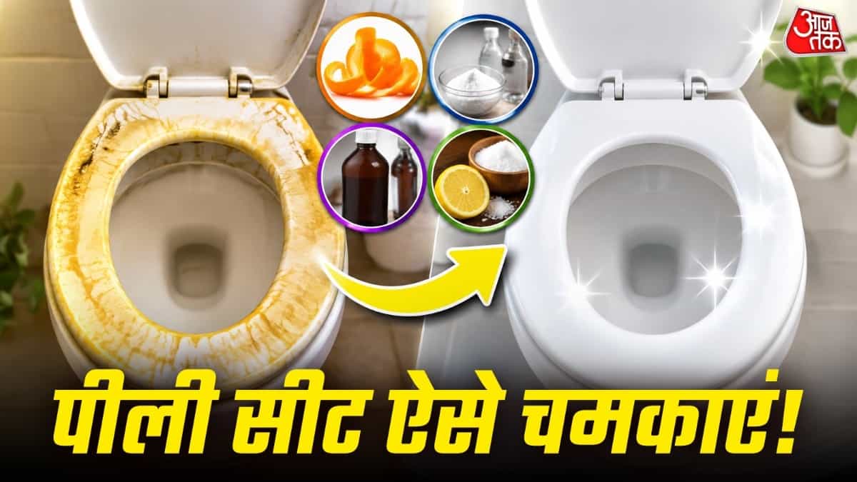 Toilet Seat Cleaning Tips: Remove Stubborn Yellow Stains Easily
