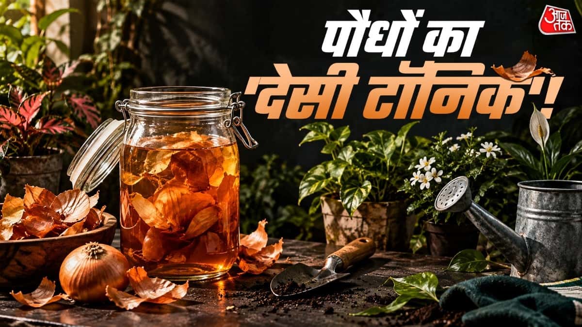 Onion Peels for Plants: Create a 'Desi Tonic' in Just 2 Days!