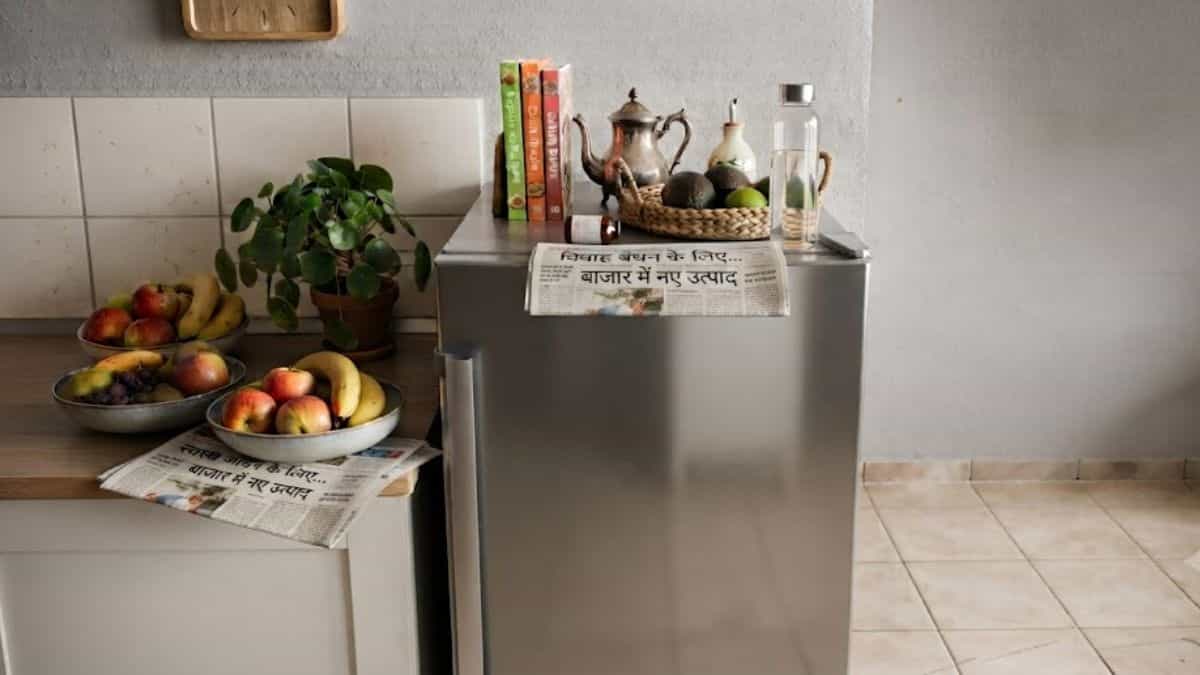 Fridge Vastu: Avoid These 5 Items to Keep Your Finances Healthy