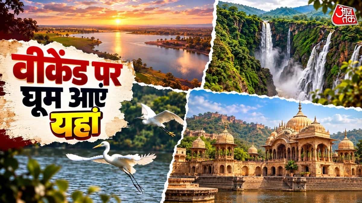 Best One Day Trips Near Delhi: Top 5 Places to Visit