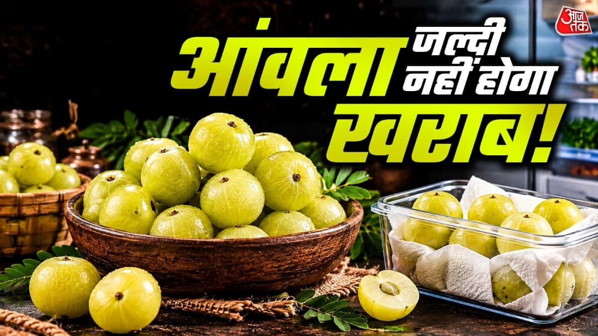 Amla Storage Tips: Keep Amla Fresh for Months with These 3 Steps