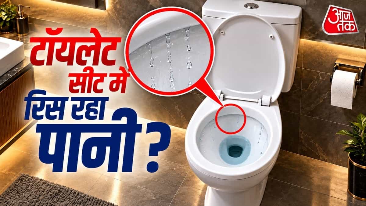 How to Fix Toilet Flush Tank Leakage in 10 Minutes Without a Plumber