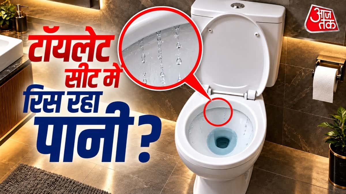 How to Fix Toilet Flush Tank Leakage in 10 Minutes Without a Plumber
