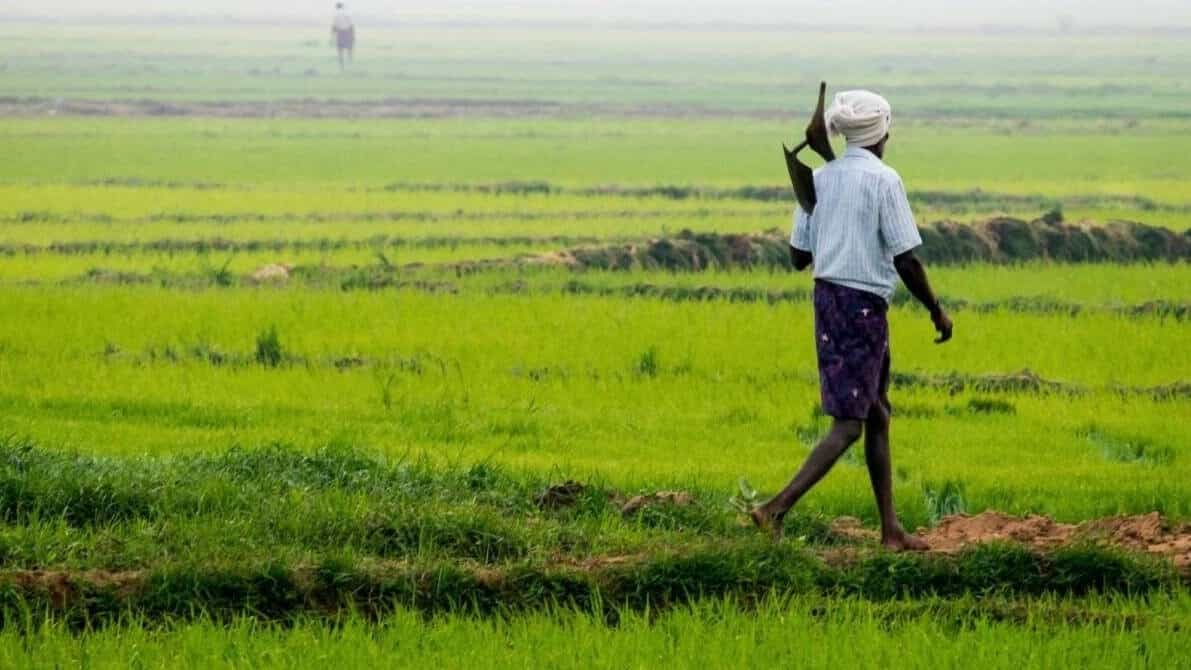 Integrated Farming Model Offers Multiple Income Streams for Farmers