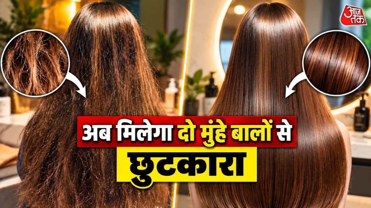 दो मुंहे बालों को ठीक करने के लिए एलोवेरा और इस सामग्री का उपयोग करें