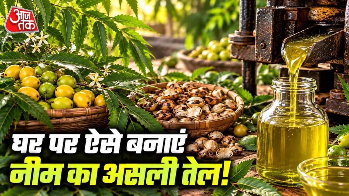 How to Make Neem Oil at Home: A Step-by-Step Guide