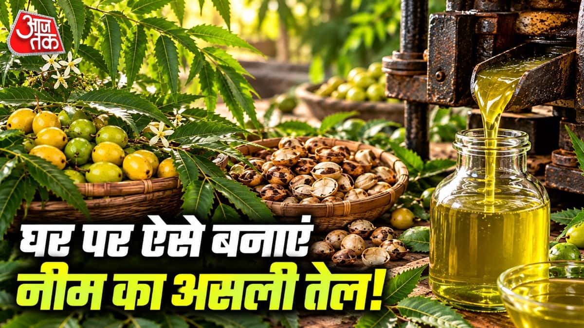 How to Make Neem Oil at Home: A Step-by-Step Guide