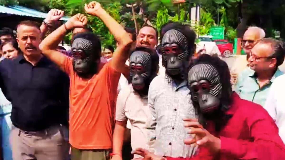Meerut Residents Protest Against Monkey Problem