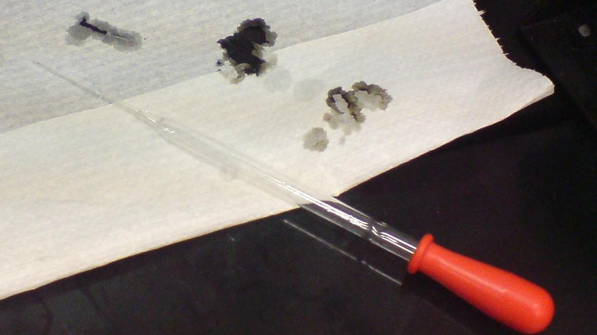 Study Finds Peptides Stable in Concentrated Sulphuric Acid